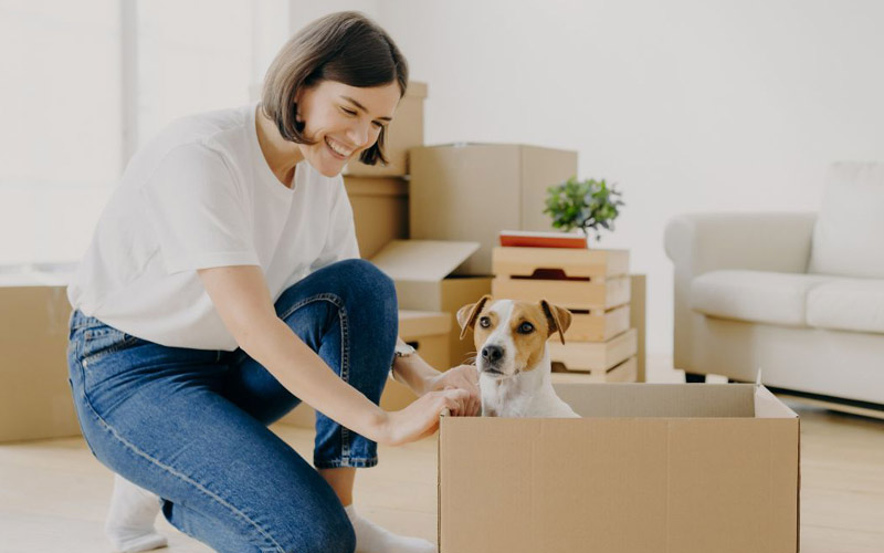 OM International Logistics Movers