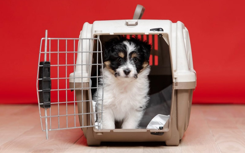 OM International Logistics Movers